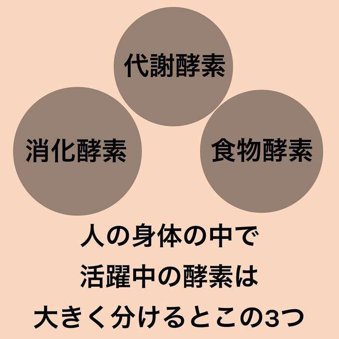 画像362