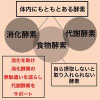 画像363
