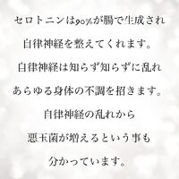 画像399